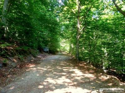 Parque Moncayo; Tarazona;Veruela; viajar a tu aire excursiones avila ruta nacimiento del rio cuervo 